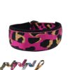 Rosa Leoband