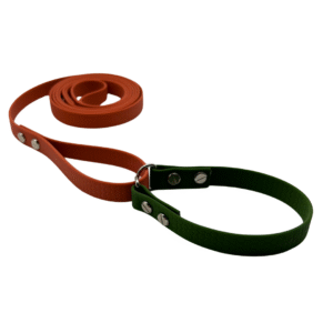 Personliga hundkoppel