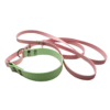 Allt- i-Ett koppel och halsband - Mix - Bild 8
