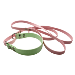 Allt- i-Ett koppel och halsband - Mix