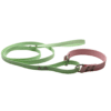 Allt-I-Ett hundhalsband