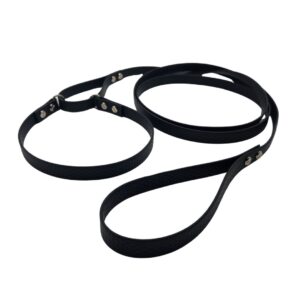 Allt- i-Ett koppel och halsband - 16mm