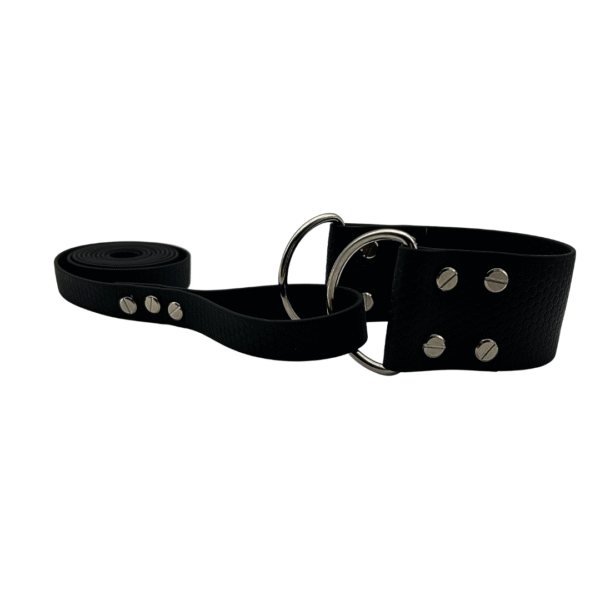 Allt- i-Ett koppel och halsband - Mix Max