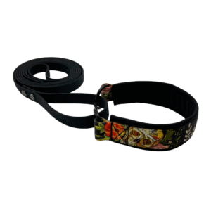 Allt-i-Ett koppel och halsband - MÖNSTER