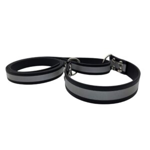 Allt- i-Ett koppel och halsband - Reflex