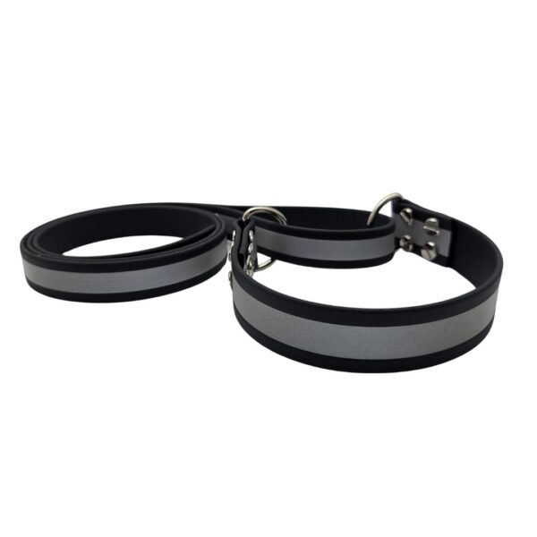 Allt- i-Ett koppel och halsband - Reflex