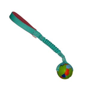 Chuckit! ECO Fetch with bungee från Zayma