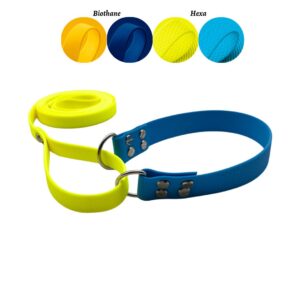 Mästerskapshalsband Allt-I-Ett